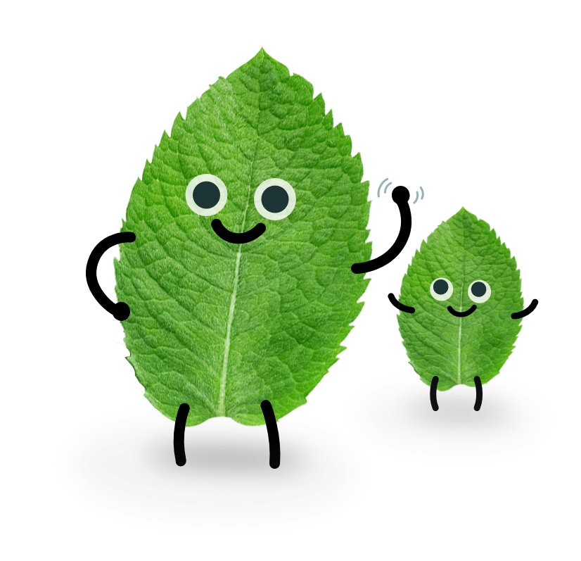 Dibujo de menta con cara sonriente